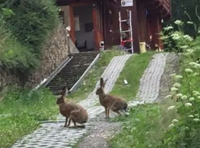 Pod Magura שצ'צ'ירק