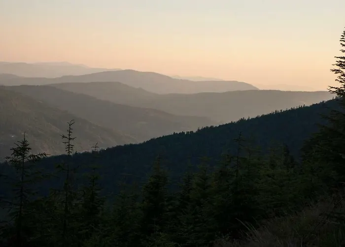 Pod Magura * שצ'צ'ירק